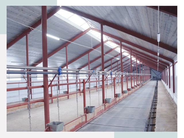 Строительство коровников в Железнодорожном от 615 руб.