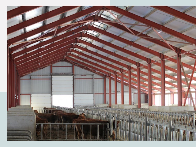 Строительство коровников в Железнодорожном