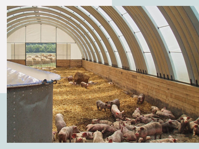 Строительство свинарников в Железнодорожном