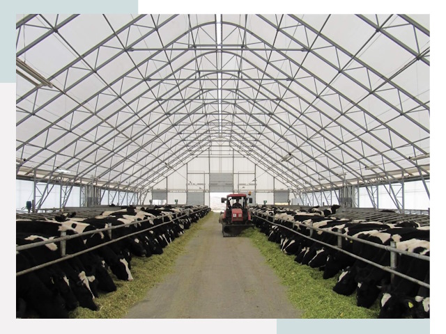 Тентовые коровники в Железнодорожном от 615 руб. - Надежно и доступно